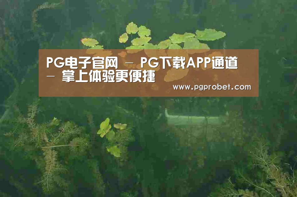 案例展示三(图1)