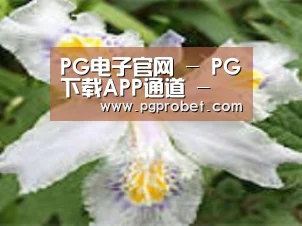 产品名称二