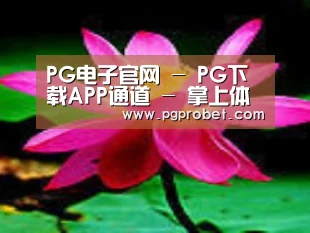 产品名称五