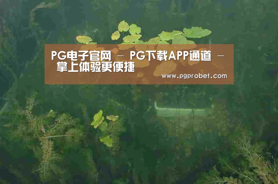 案例展示三