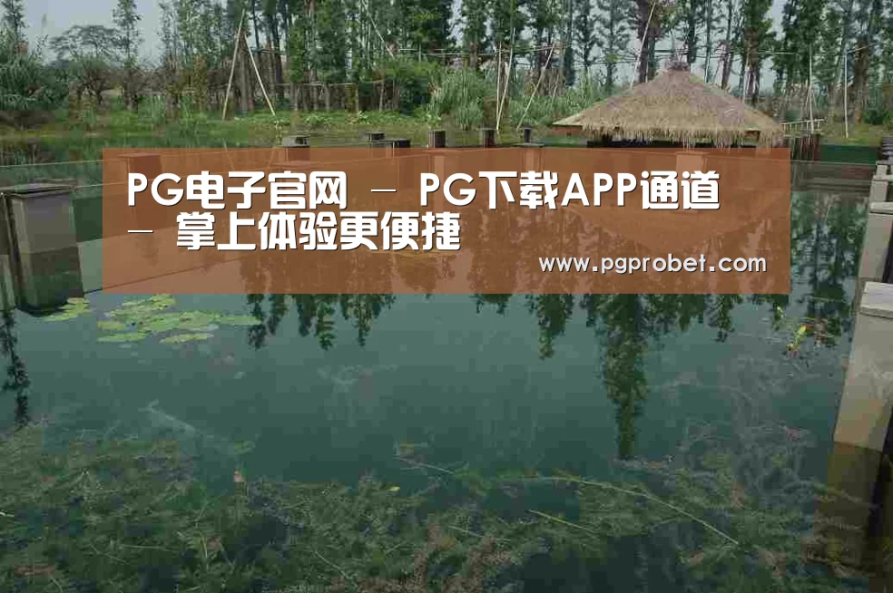 案例展示二