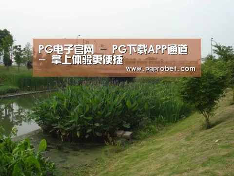 案例展示四