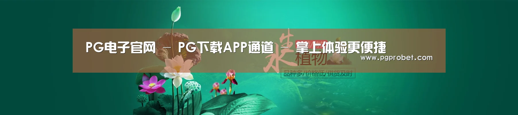 鲜花水草花卉网站模板
