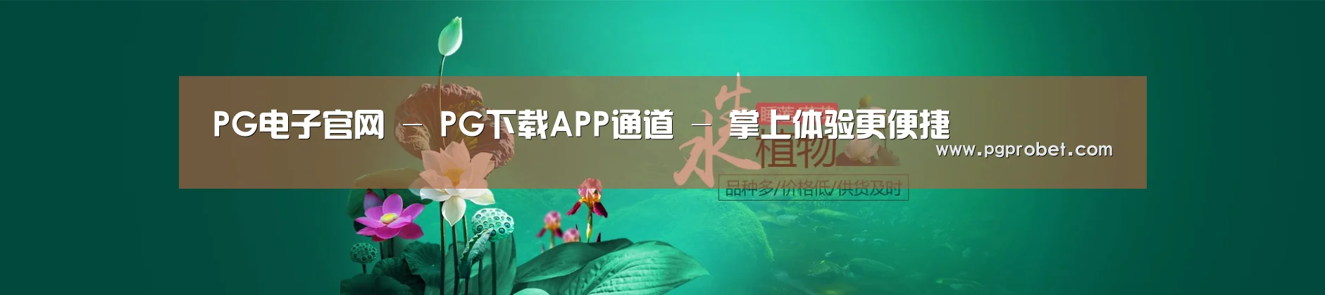 鲜花水草花卉网站模板