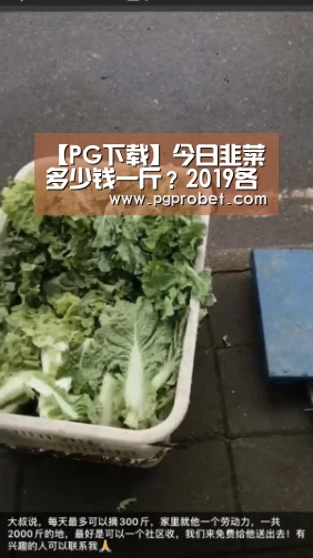 【PG下载】今日韭菜多少钱一斤?2019各地韭菜市场收购行情(图3) PG掌上