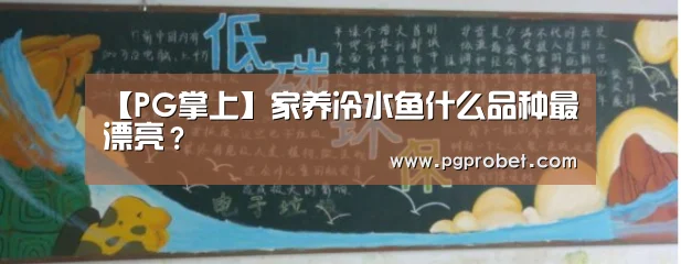 【PG掌上】家养冷水鱼什么品种最漂亮？(图1)