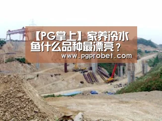 【PG掌上】家养冷水鱼什么品种最漂亮？(图2)