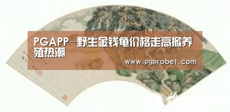 PG电子