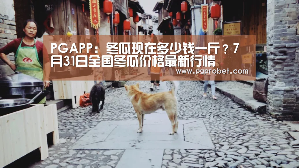 PGAPP:冬瓜现在多少钱一斤?7月31日全国冬瓜价格最新行情(图2) PG掌上