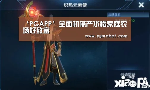 ‘PGAPP’全面机械产水稻家庭农场好致富(图1) PG掌上