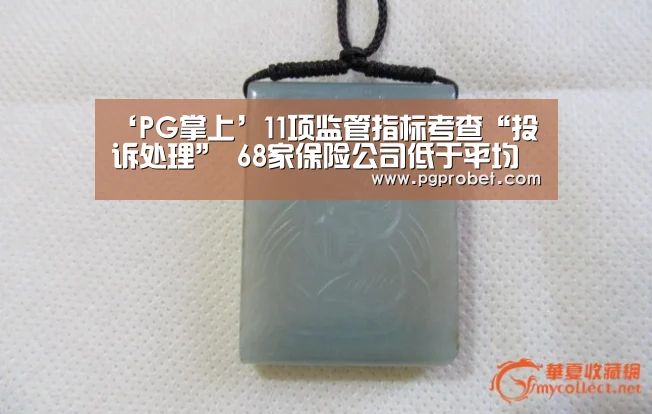 ‘PG掌上’11项监管指标考查“投诉处理” 68家保险公司低于平均分(图3) ‘PG掌上’11项监管指标考查“投诉处理” 68家保险公司低于平均分(图3)